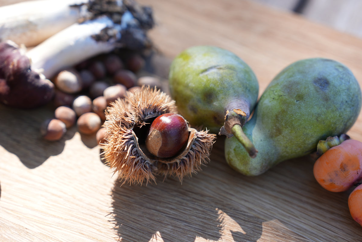 From Orchard to Table: A Chestnut Pasta Experience