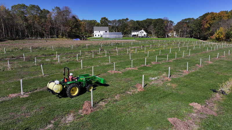 What is Agroforestry